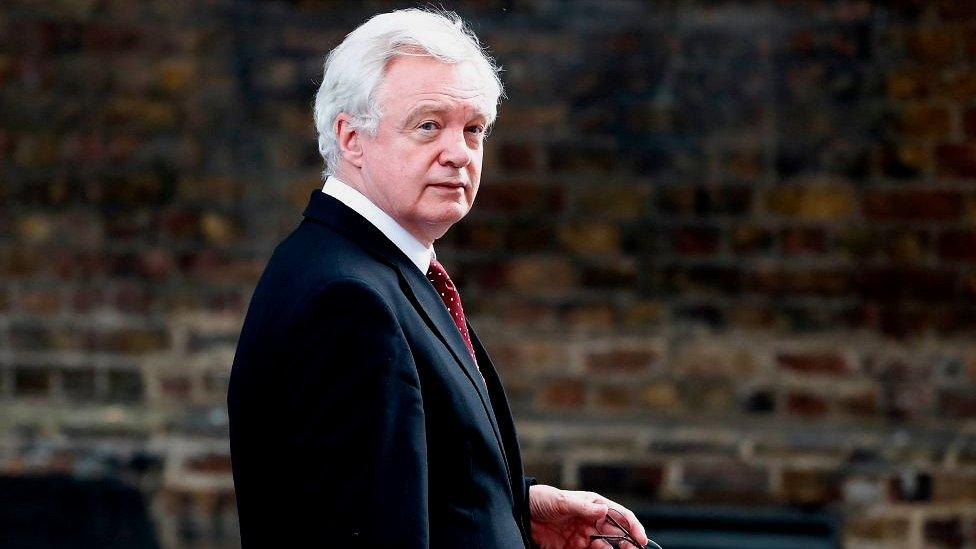 Secretary of State for Exiting the European Union David Davis