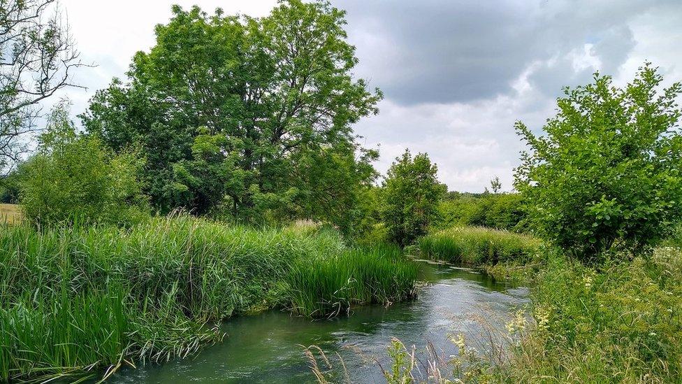 A shot of the river, looking clear, surrounded by lush greenery