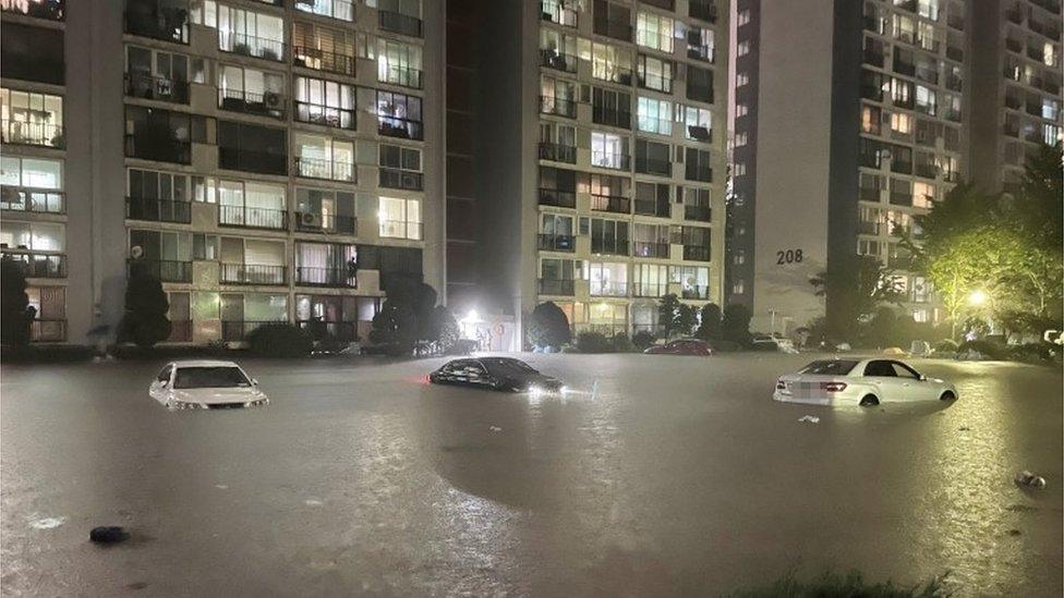 submerged cars