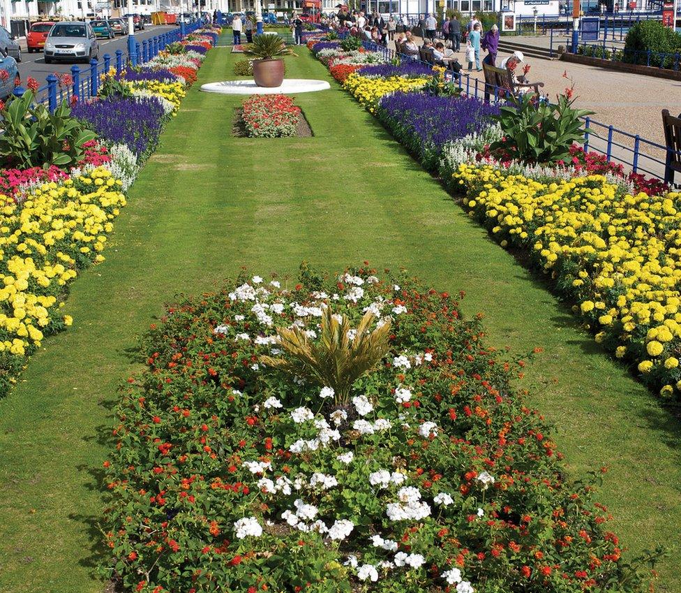 Carpet Gardens