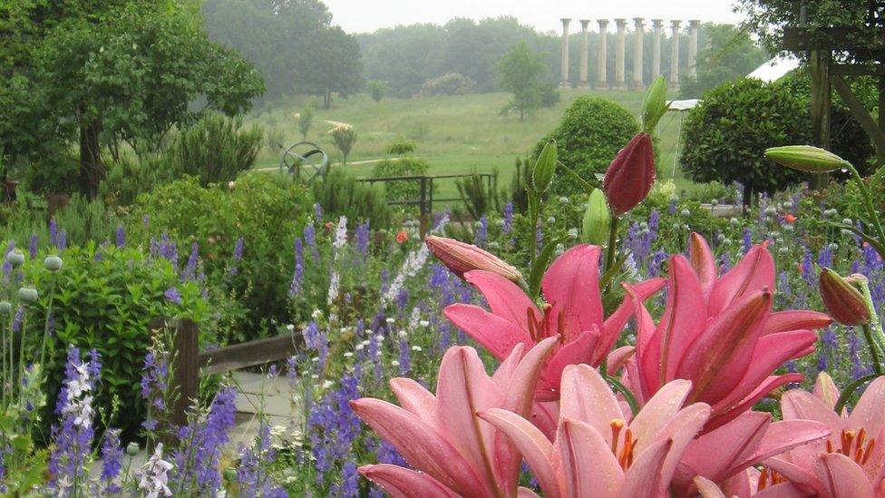 Herb Garden