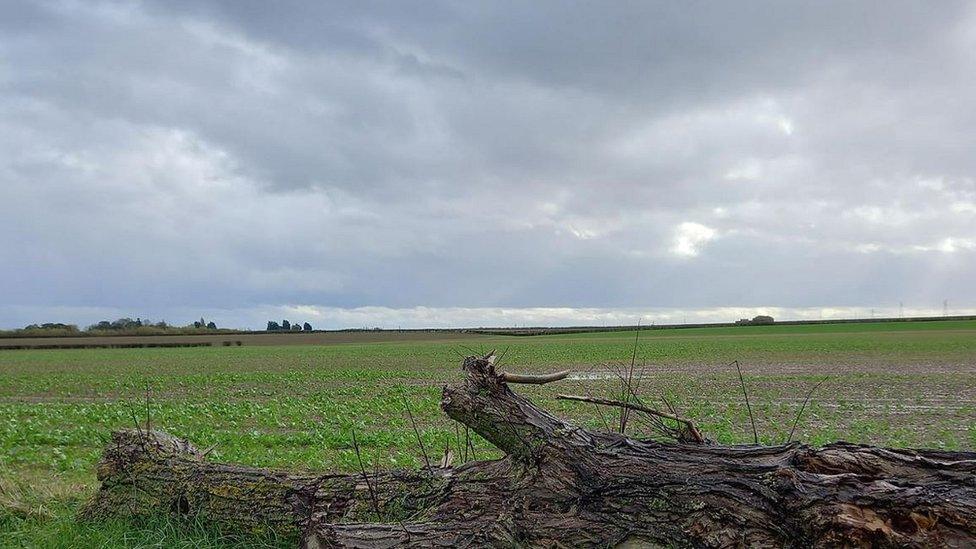 Land near Scredington that would be flooded under reservoir proposals by Anglian Water