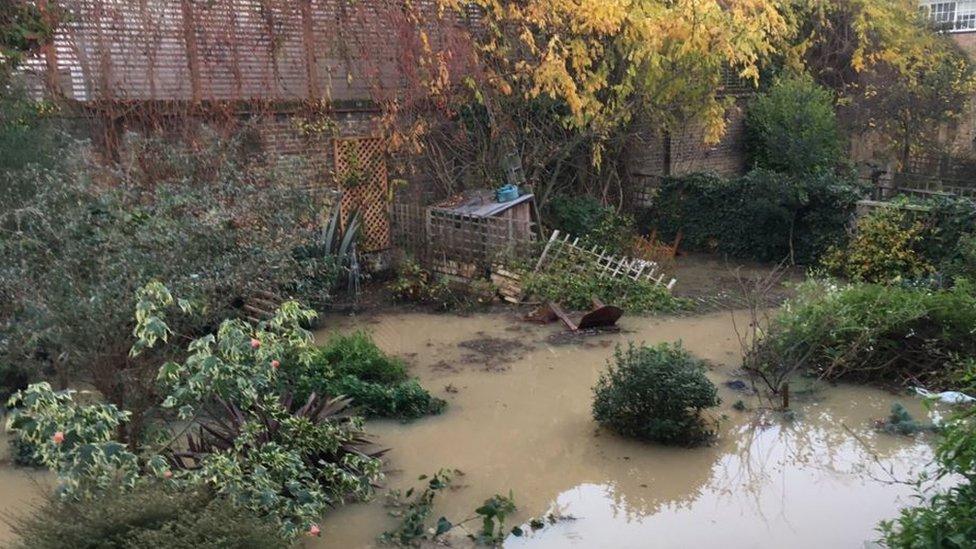 Flooded garden