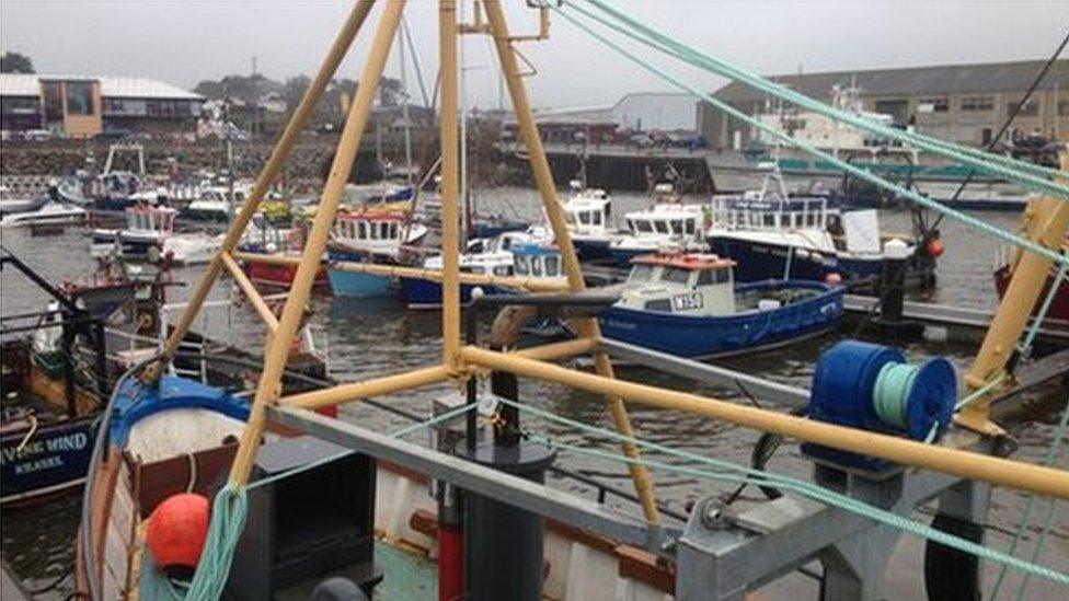 Kilkeel harbour