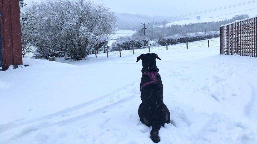 Snow in Scottish Borders