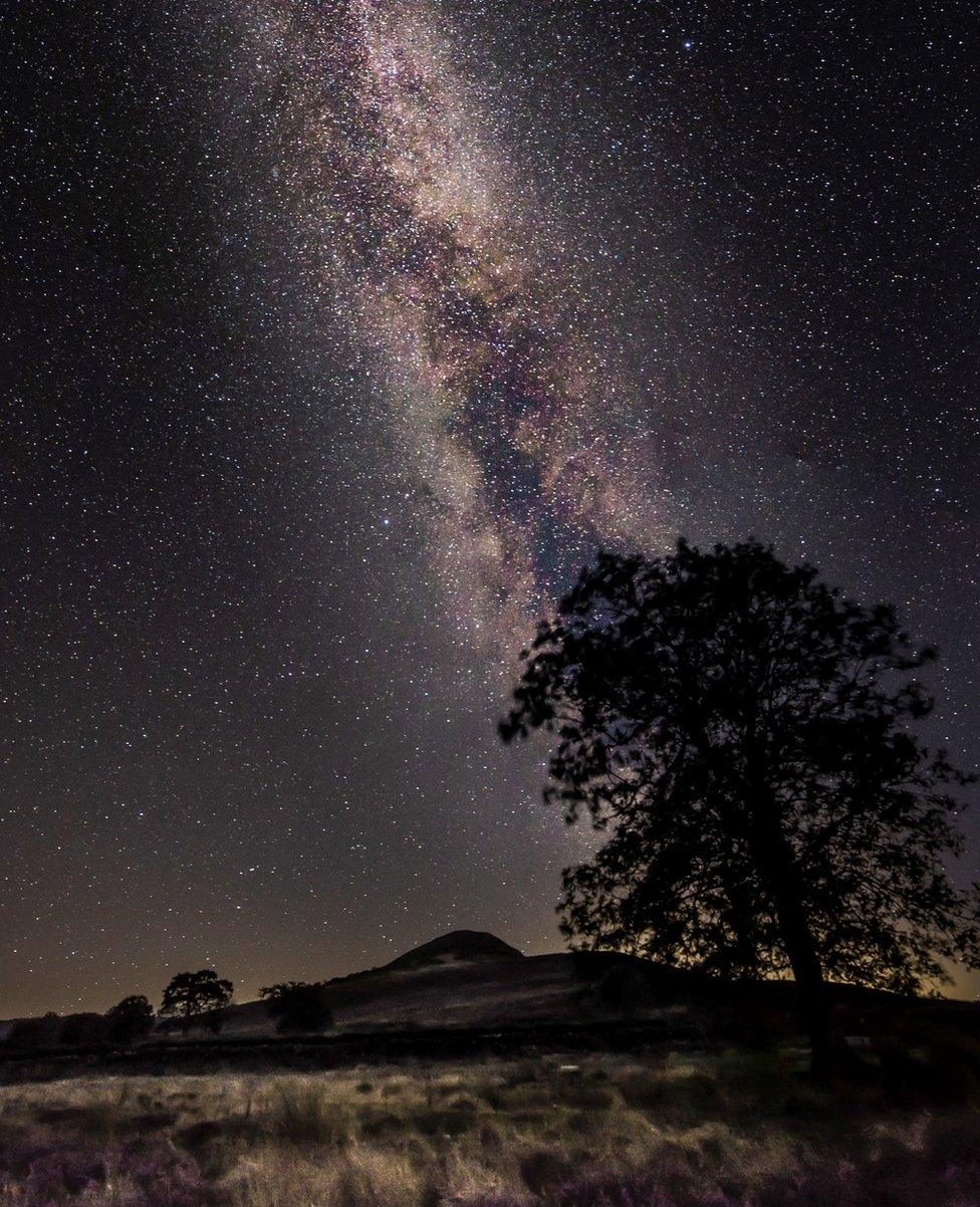 The night sky is lit up with an array of purple stars