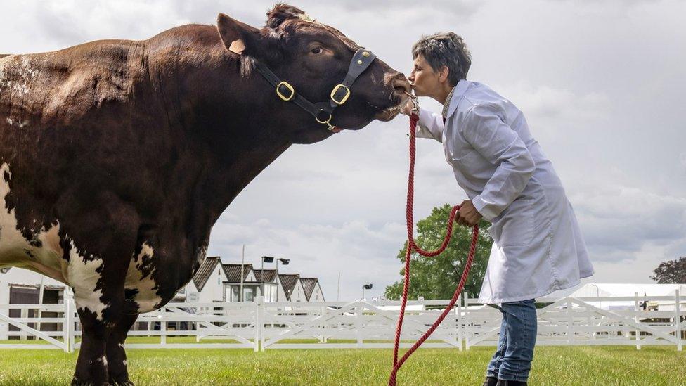 Great Yorkshire Show