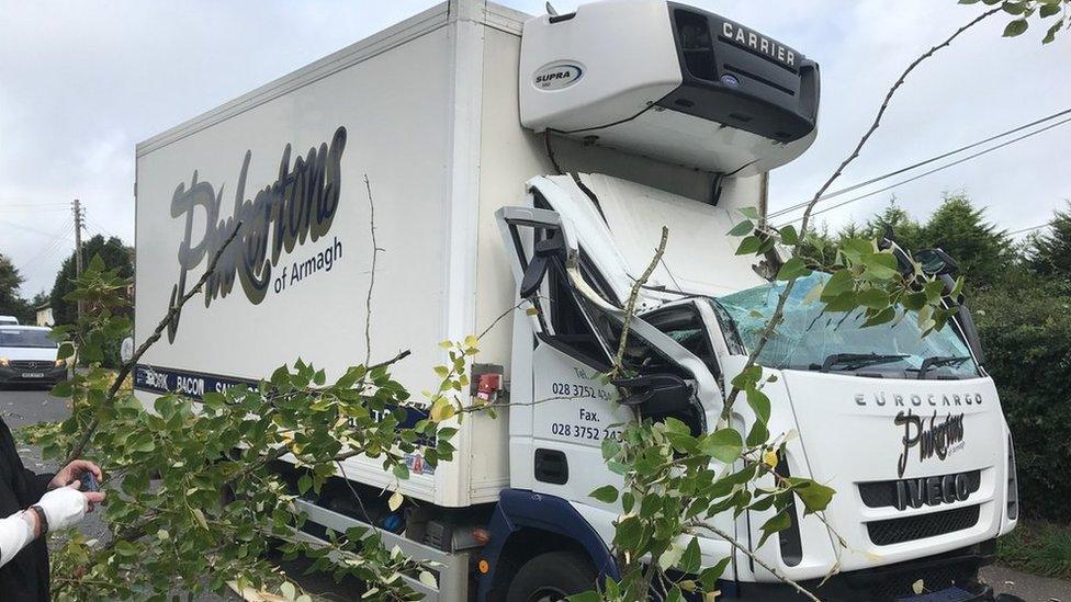 Lorry hit by a tree