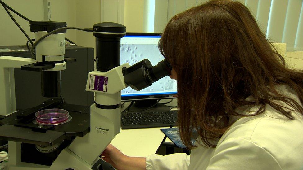 QUB bowel cancer research