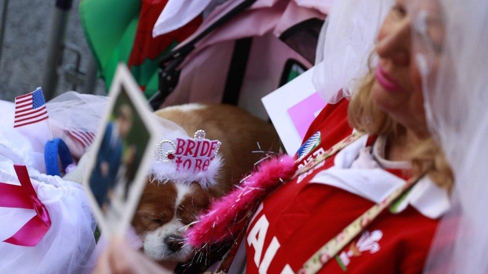 Anne Daley holds a photograph of Prince Harry and Meghan Markle with her dog Camilla in Windsor