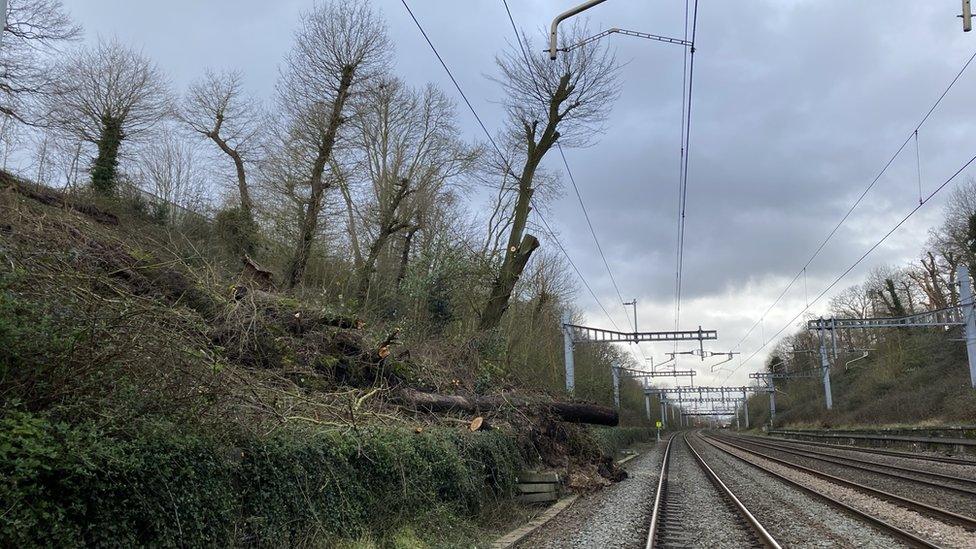 Image of the landslip