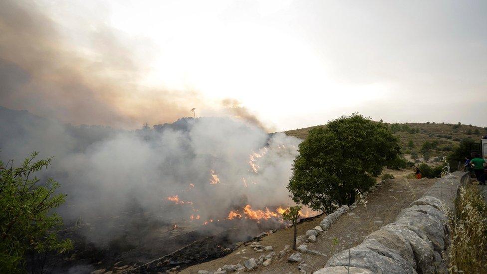 Wildfires in Sicily