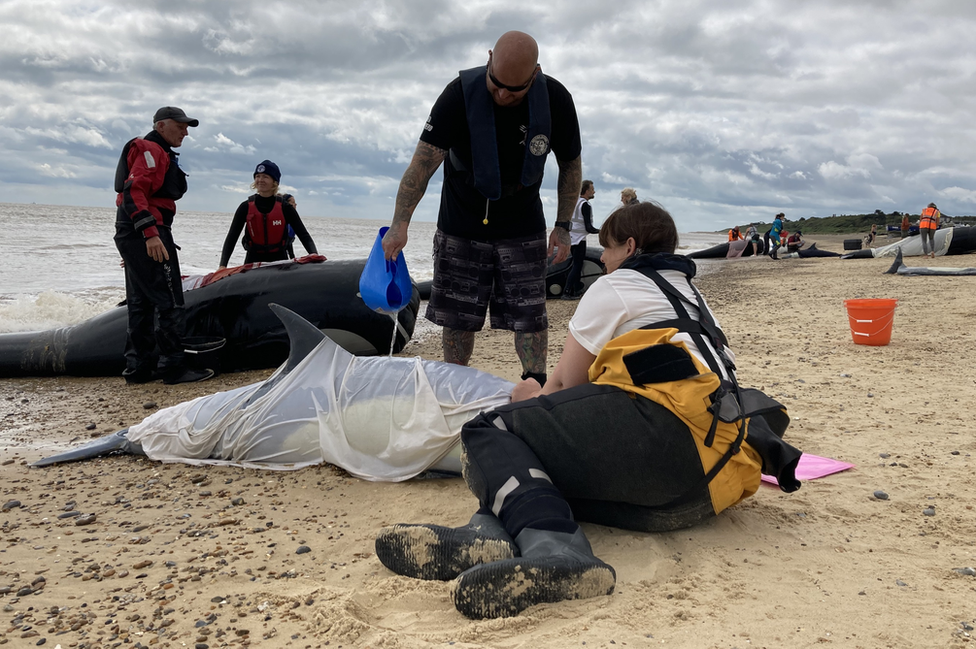 Whale rescue training exercise on Sizewell beach