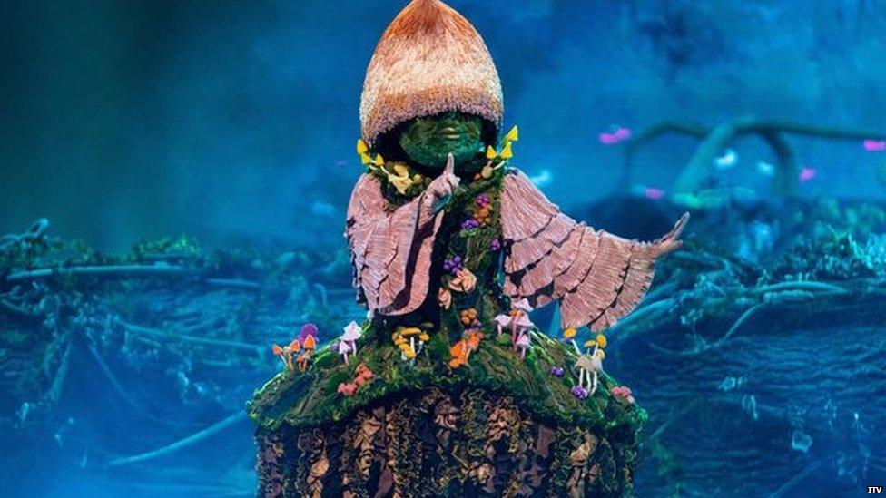 A photo of Mushroom from The Masked Singer