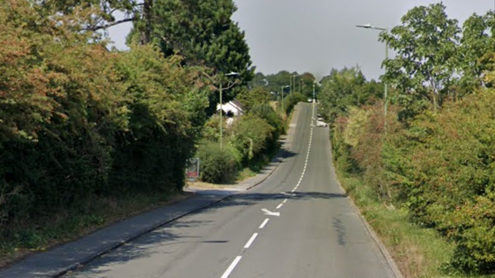 A picture showing a road lined with hedges and trees