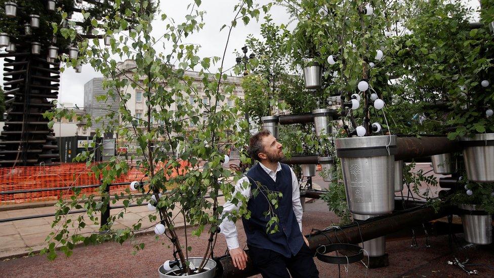 tree-planting-for-the-jubilee