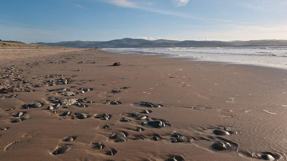 Aberdyfi beach