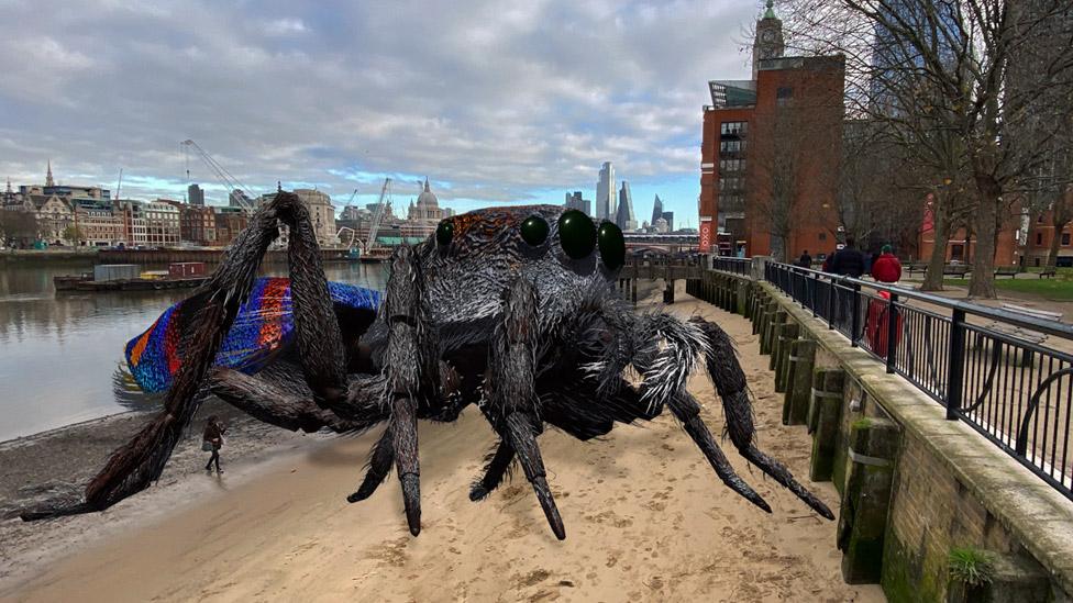 Tomas Saraceno, Maratus Volans (peacock spider), Prototype for Web of Life. Augmented reality.