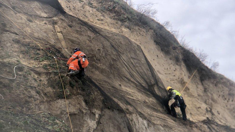 Removing nets