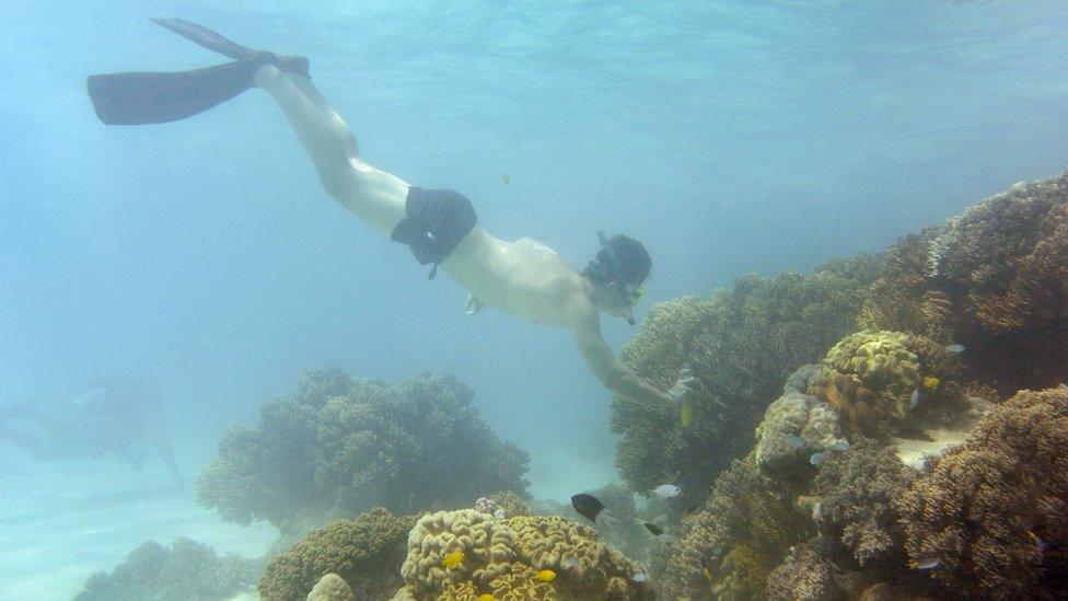 Tourism operators insist Australia has world-best safety standards