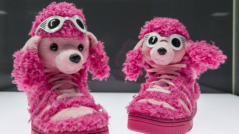 Pink Poodle Adidas trainers