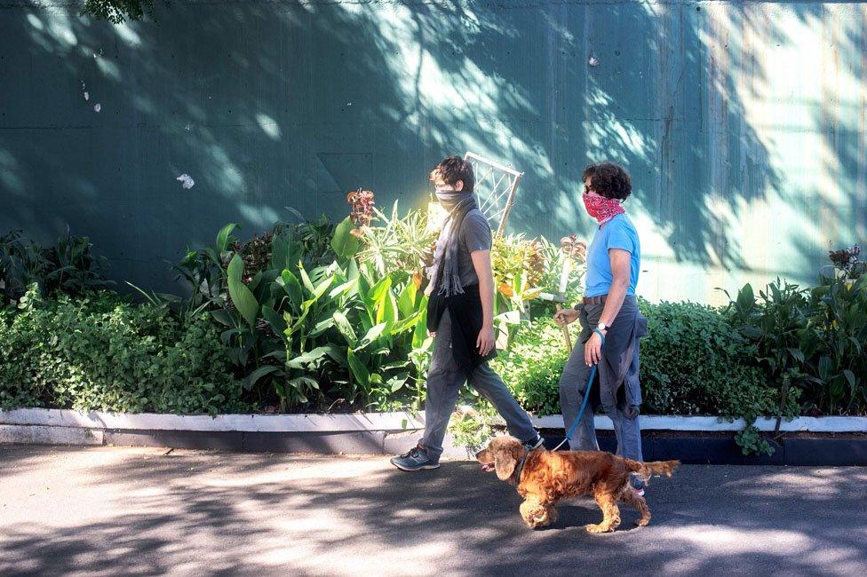 Two people walking a dog