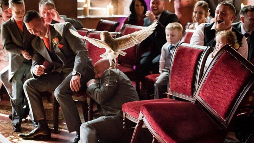 Owl attacks a best man at the wedding of Jeni Arrowsmith and Mark Wood