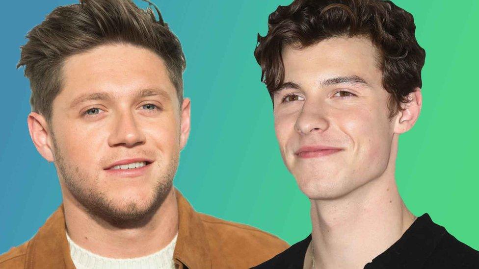 Shawn Mendes and Niall Horan