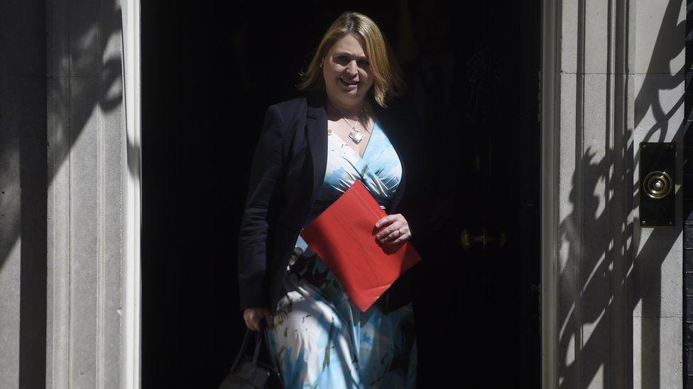 Karen Bradley leaving Downing Street after a cabinet meeting on Tuesday