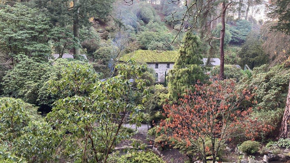 Bodnant Garden