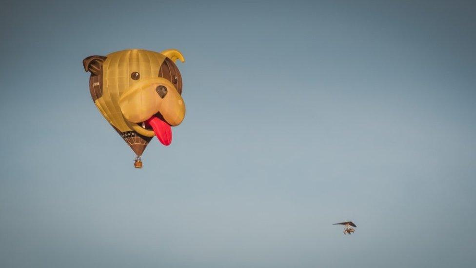 Dog balloon and microlight aircraft