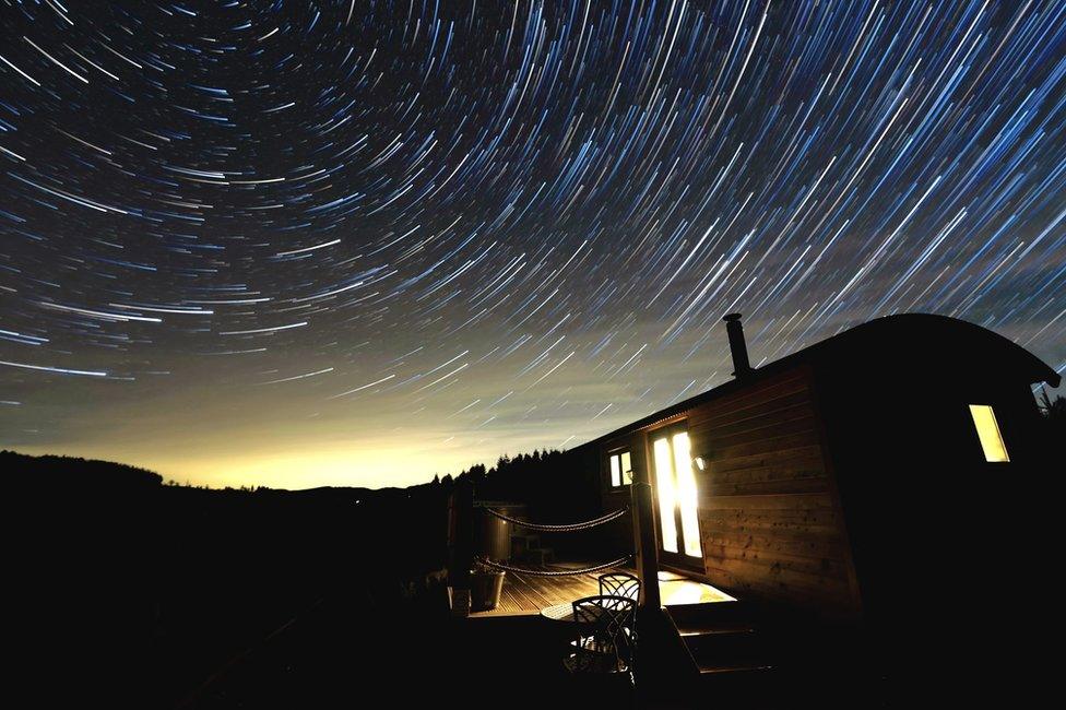 Cambrian Trees Huts