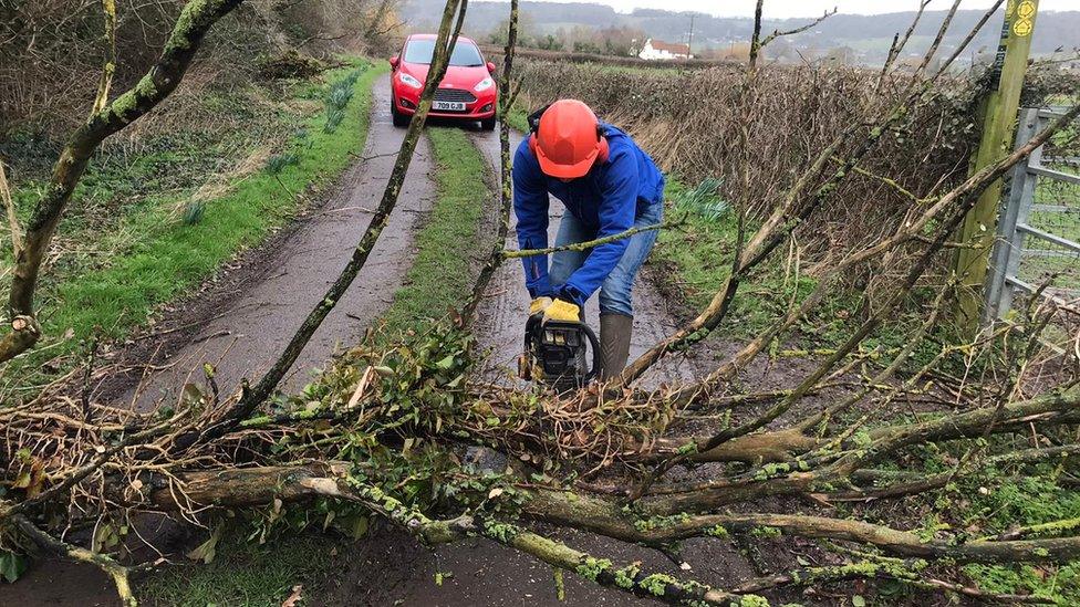 Tree surgeon