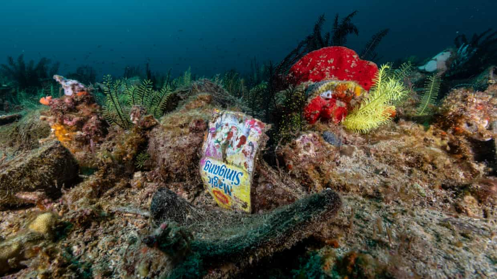 Crisp packet in an ocean.