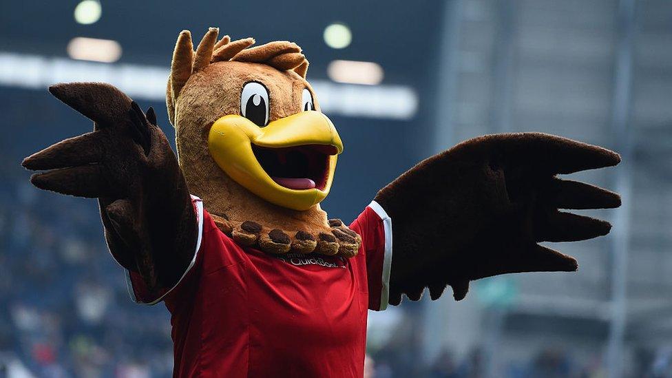 Albi, the West Brom mascot