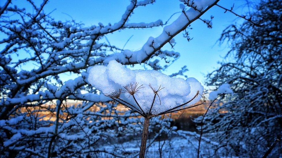 Snow and blue skies in Perth