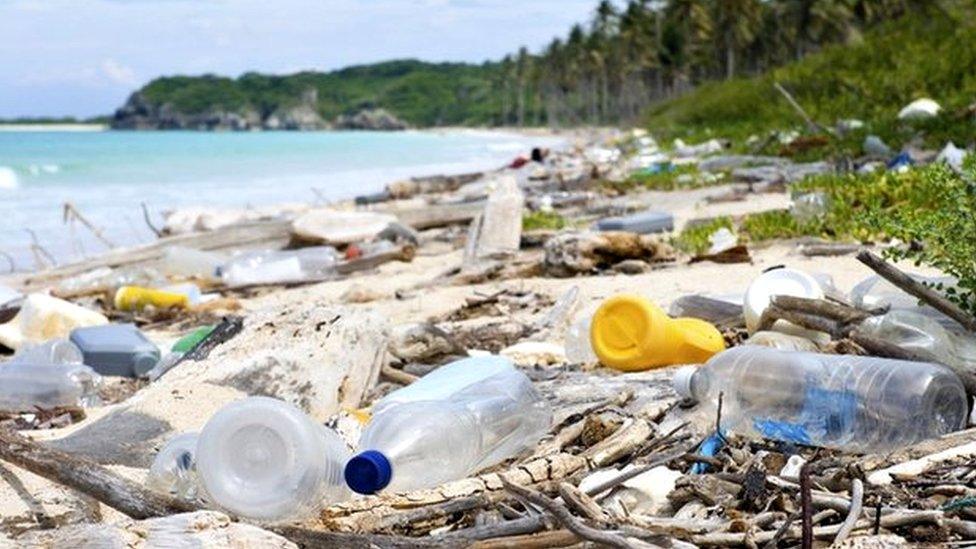 Garbage and pollution on a Tropical beach