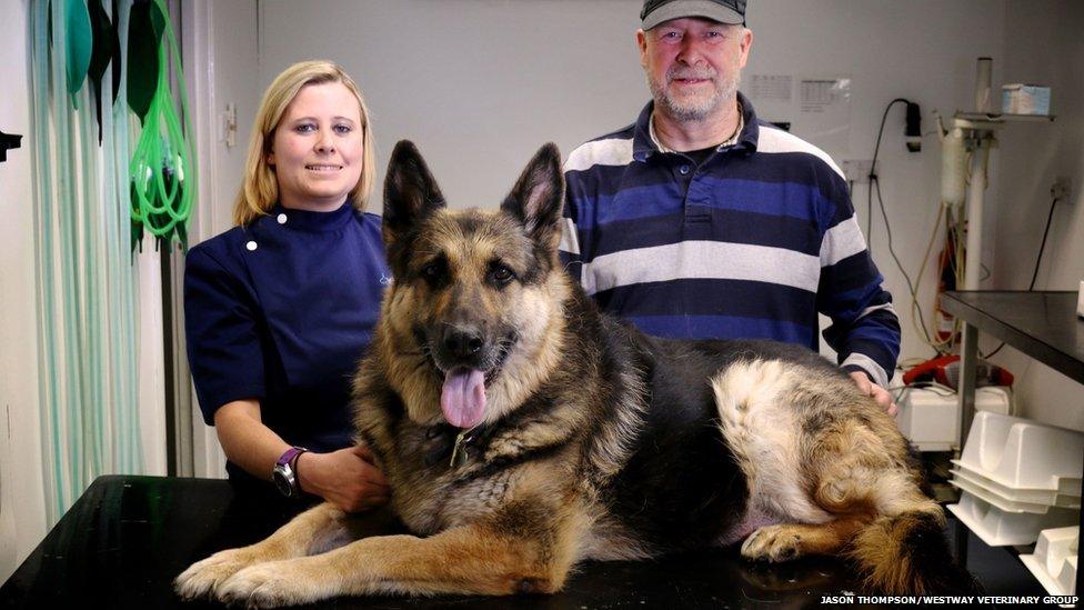 Mandy Ball, Murphy and David Larson