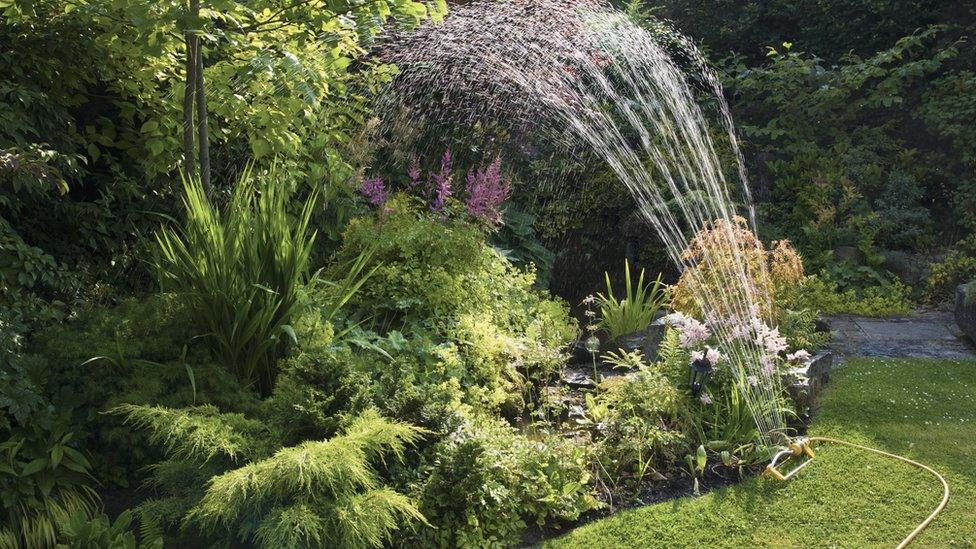 Hosepipe used in garden in Dore, Sheffield