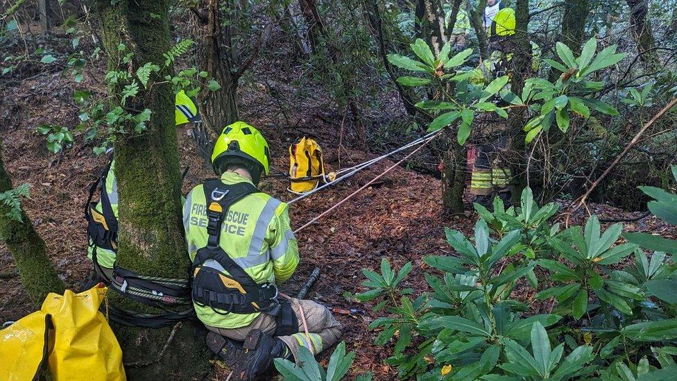 Rescuers from Cornwall Fire and Rescue Service