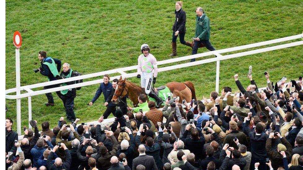 Cheltenham races