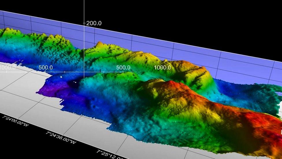 Mingulay whole reef