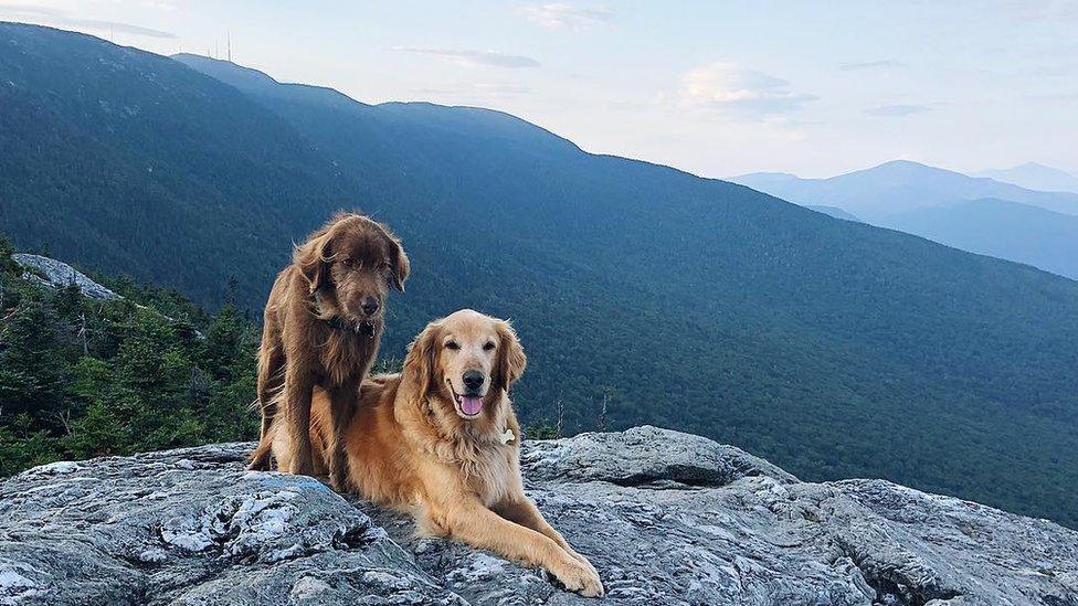 A sunrise hike of Mount Mansfield, Vermont was on Finn's bucket list