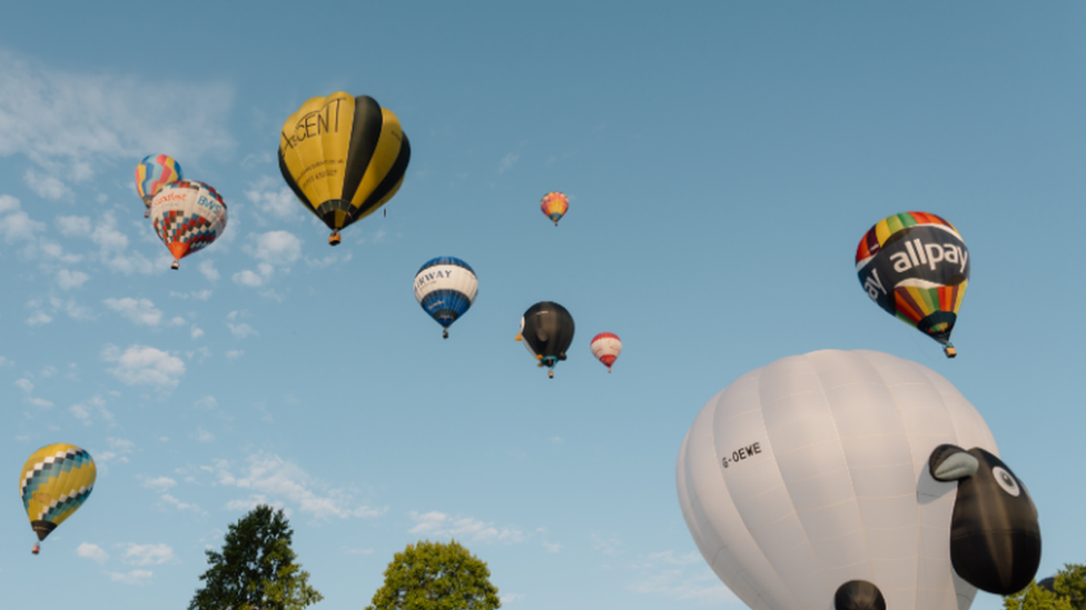 Hot air balloons in the sky