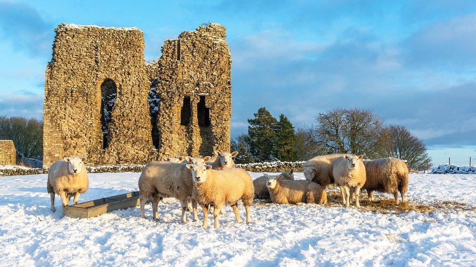 Snow at Bowes Castle