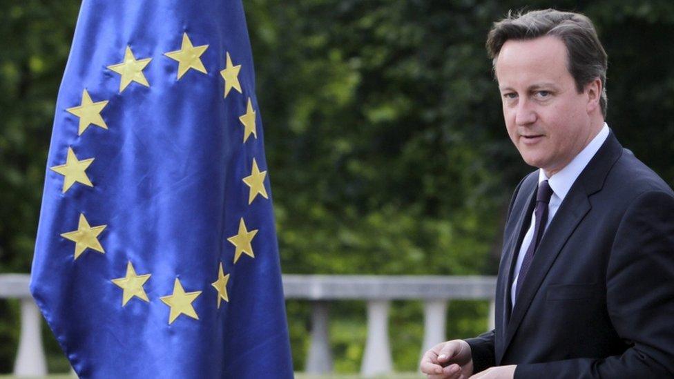 Prime Minister David Cameron by an EU flag