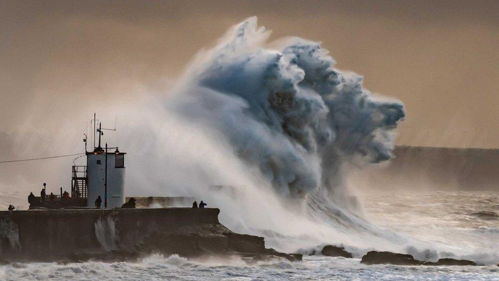 Huge wave by a harbour