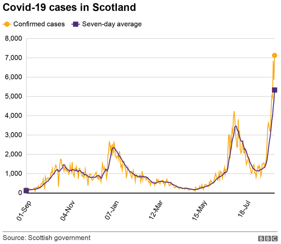 cases 29 August