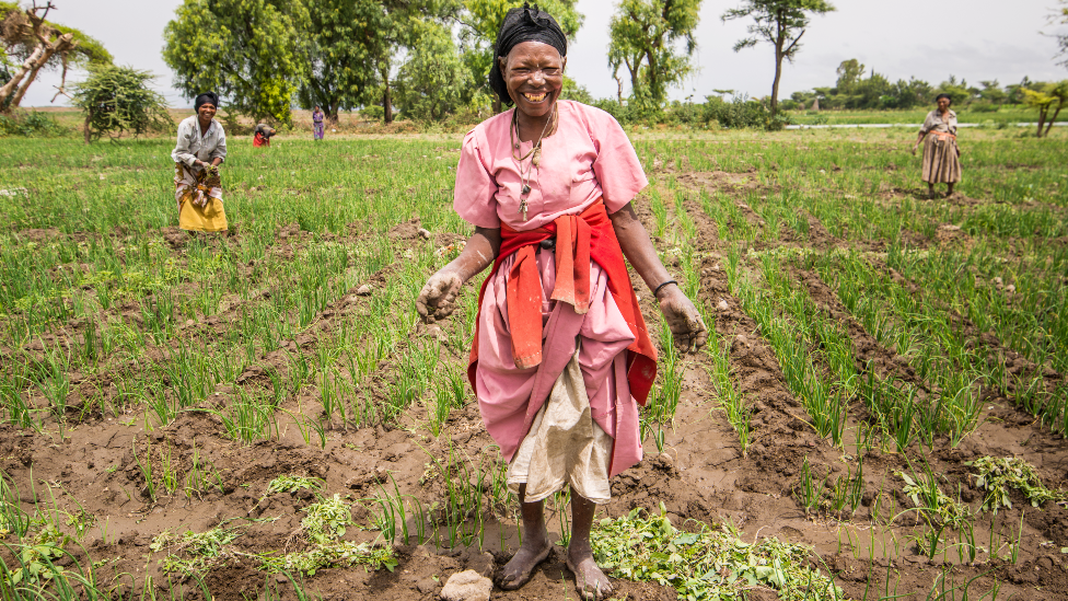 Female workers weeding onion fields at the Fruit and Vegetable Growers Cooperative in Meki Batu, Ethiopia - 2016