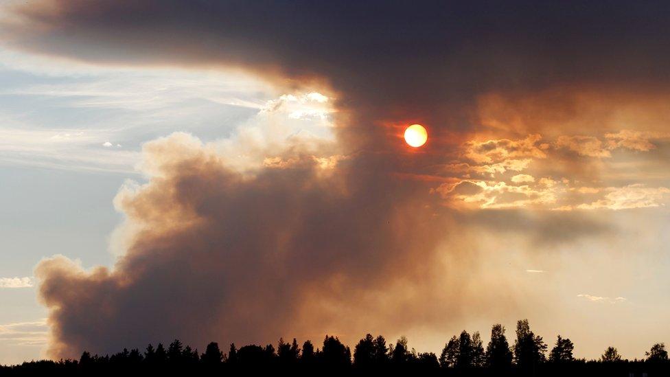 Fire burns in Karbole, Sweden, on July 15, 2018.